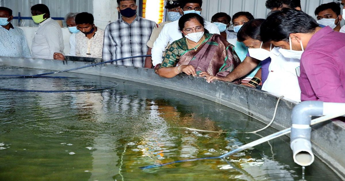 Dr.Vijayalakshmi Veeramachaneni